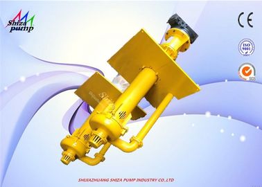 중국 65QV - SP 수직은 65 mm 펌프 하수 오물 슬러리 펌프 출력 직경을 물속에 넣었습니다 협력 업체